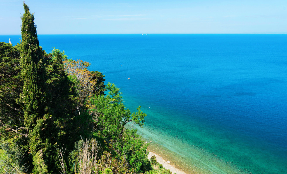 Obala z rastjem in morje.