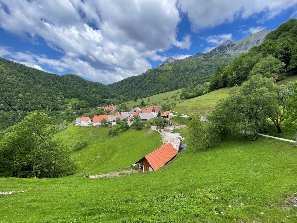 Vasica v Baški grapi na pobočju med zelenimi travniki.