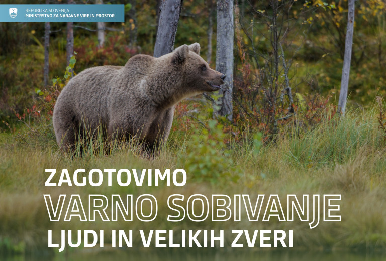 Prispevajmo k varnemu sobivanju z velikimi zvermi