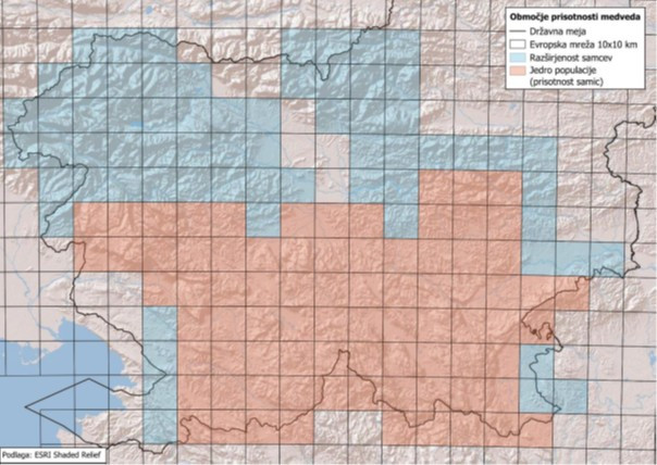 Grafika z zemljevidom Slovenije in označeno prisotnostjo medveda.