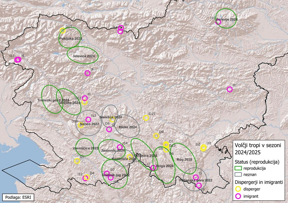 Grafični prikaz volčjih tropov in kje se zadržujejo na zemljevidu Slovenije
