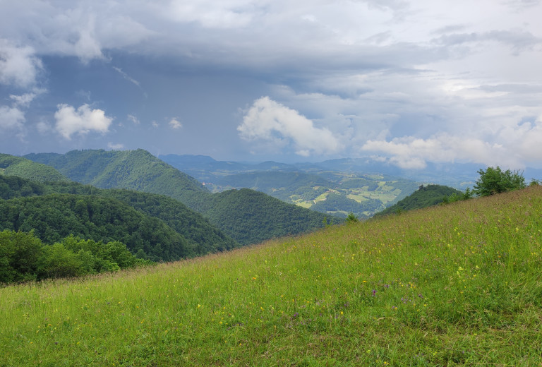 Za ohranjanje in obnovo naravnih habitatov na Kozjanskem skoraj 8 milijonov evrov 