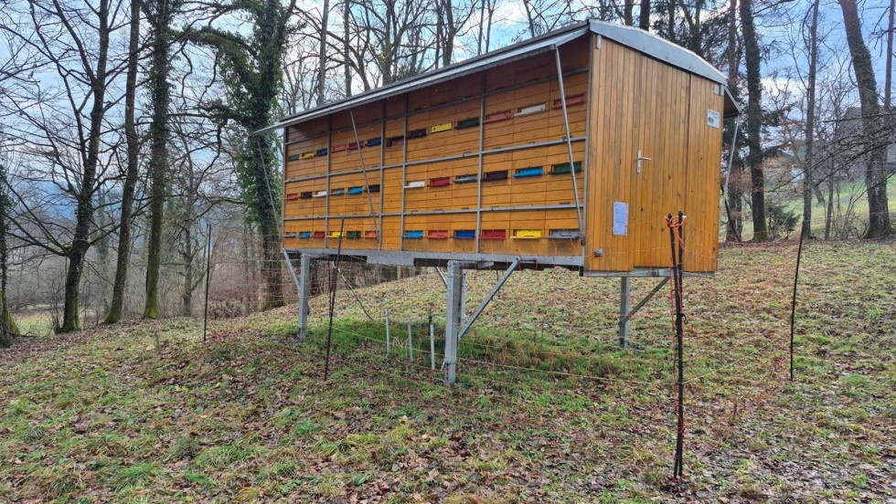 Čebelnjak ob gozdu, zavarovan z elektro ograjo