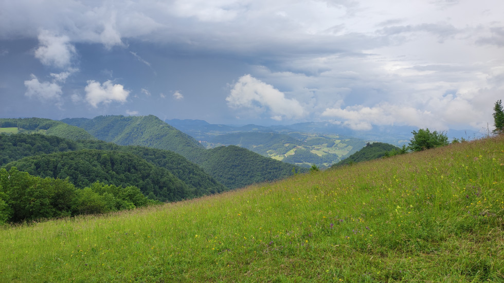 Zelena gorska pokrajina s travnikom v ospredju in hribi v ozadju.