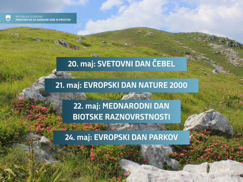 Grafika z napisi svetovnih dni narave, v ozadju travnati greben in gorsko cvetje