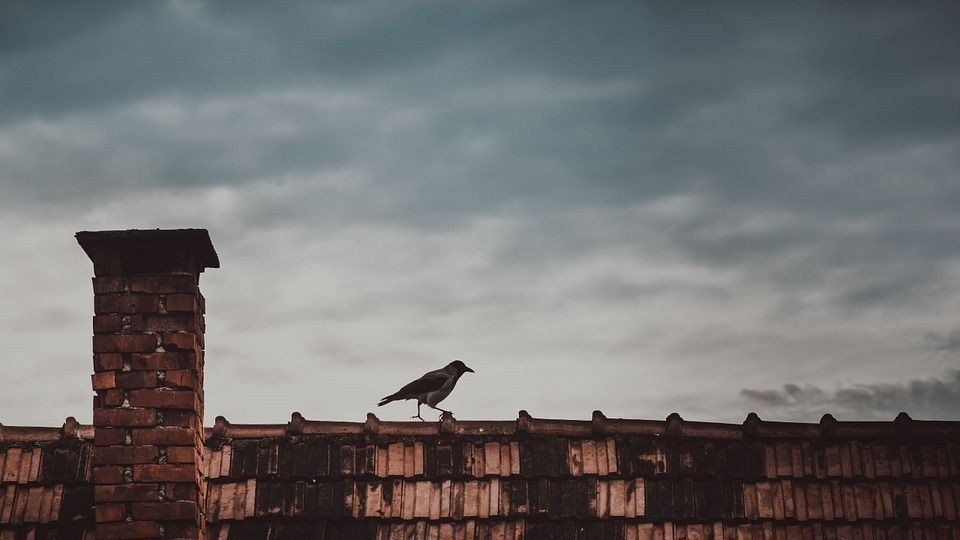 Dimnik in ptica na strehi.