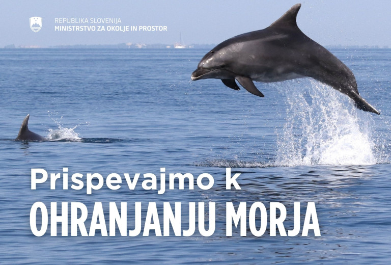 Varujmo modro bogastvo - spoštujmo morski in obalni svet