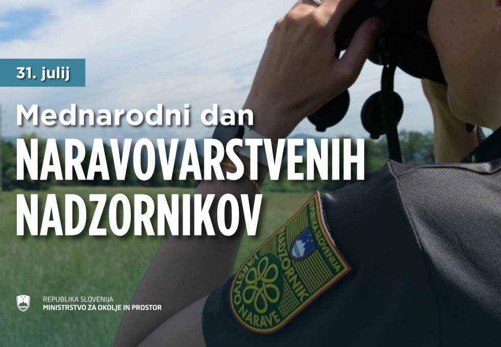 fotografija naravovarstvenega nadzornika z daljnogledom