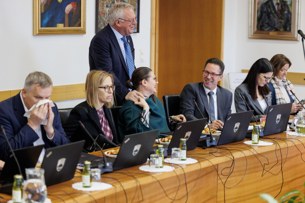 Minister na seji vlade