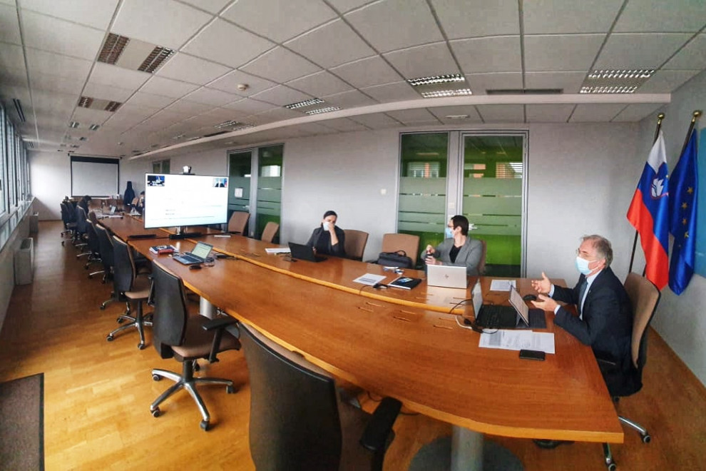 Delegation of the Ministry at the video-conference