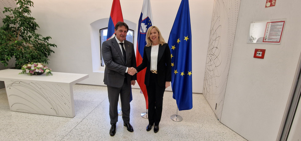 Slovenska ministrica za notranje zadeve mag. Tatjana Bobnar in srbski minister za notranje zadeve Bratislav Gašić stojita pred zastavami Srbije, Slovenije in Evropske unije in se rokujeta, okoli bele stane, stojita na belih tleh.