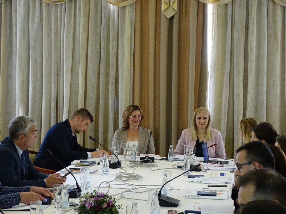 Nacionalna koordinatorka za boj proti trgovini z ljudmi Tina Princes Damjanovič sedi za mizo in sodeluje na sestanku