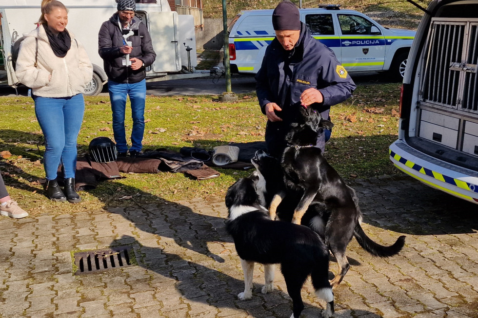 Policist stoji ob dveh policijskih psih.