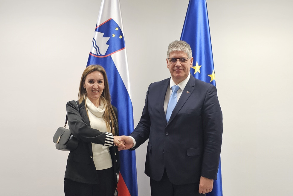 Veleposlanica in minister stojita v sobi pred slovensko in evropsko zastavo ter se rokujeta. Zadaj je bela stena.