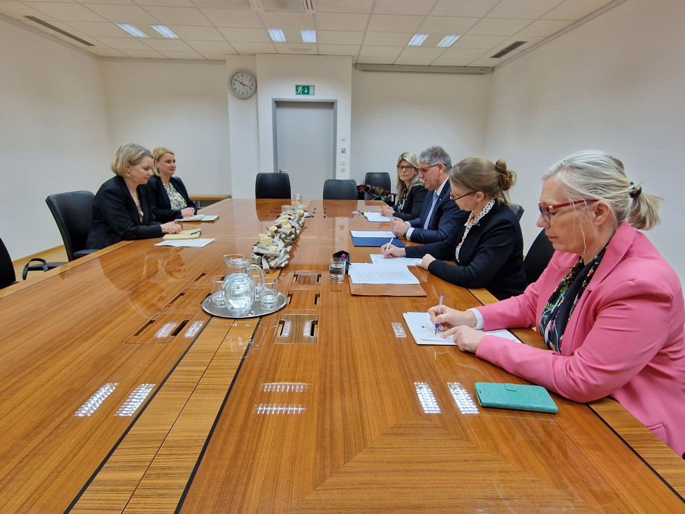 Slovenska delegacija in delegacija nemškega veleposlaništva sedita za dolgo rjavo mizo in se pogovarjajo. Stene so bele.