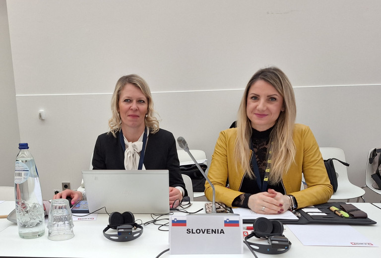 Državna sekretarka Tina Heferle: Slovenija vključevanju tujcev namenja vedno večjo pozornost 