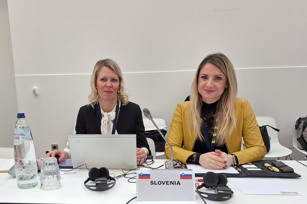State Secretary Heferle and Director of the Office of the Government of the Republic of Slovenia for the Support and Integration of Migrants Štrukelj are sitting at the table.