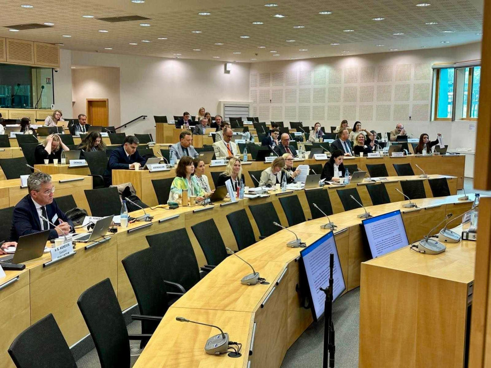 Udeleženci plenarnega zasedanja GRECO v konferenčni dvorani med razpravo.