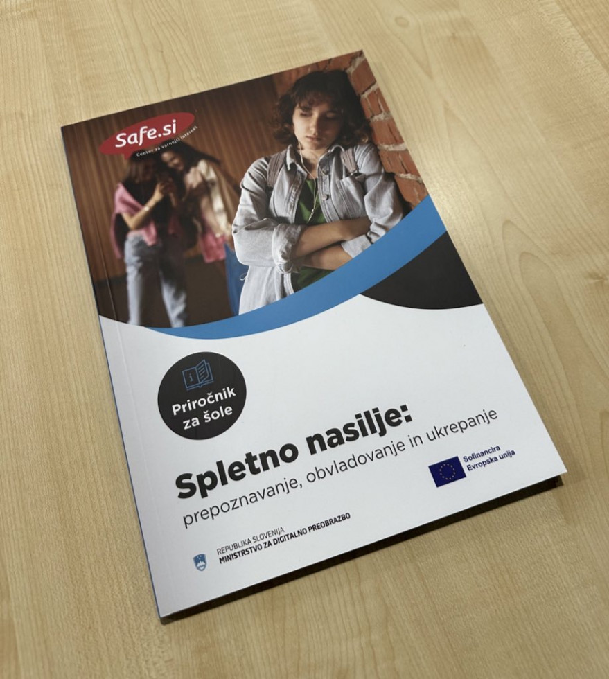 Priročnik Spletno nasilje za učitelje in pedagoge