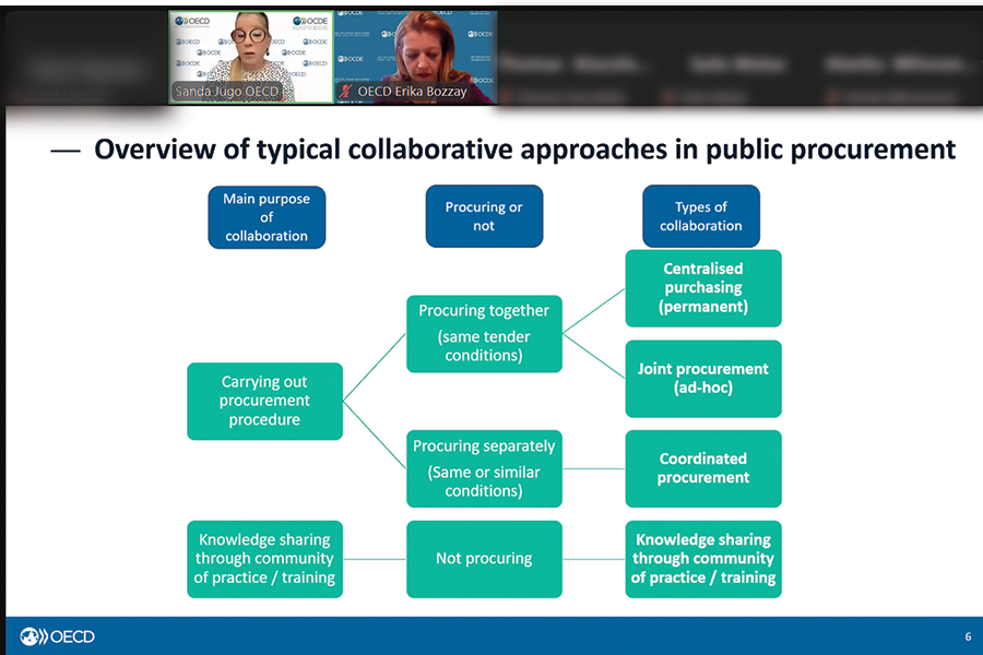 Zajem zaslona spletne konference. Na vrhu dva predavatelja, spodaj diagram, ki predstavlja možnosti javnega naročanja. 