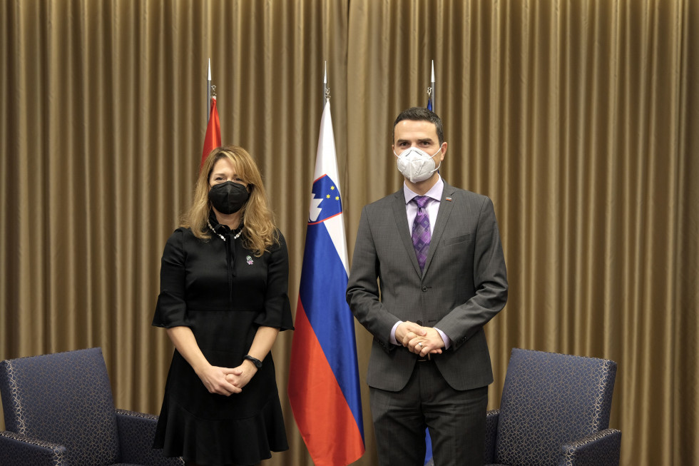 Veleposlanica in minister stojita v sprejemnici pred zastavami Srbije, Slovenije in EU:
