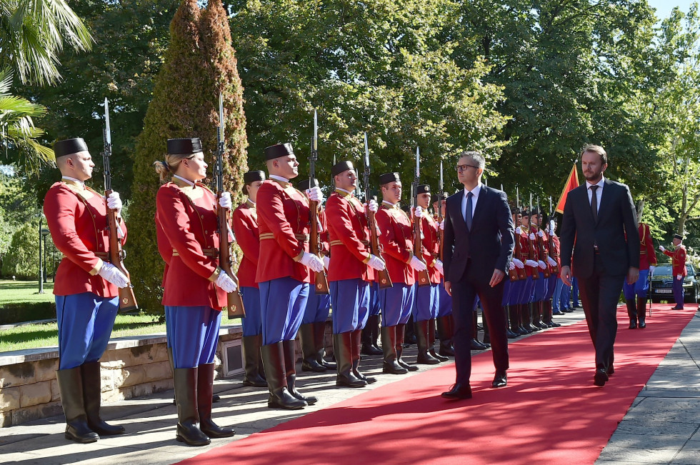 Ministers walk the red carpet with a guard of honour