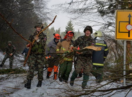 Pripadniki Slovenske vojske in gasilci odstranjujejo polomljena drevesa.