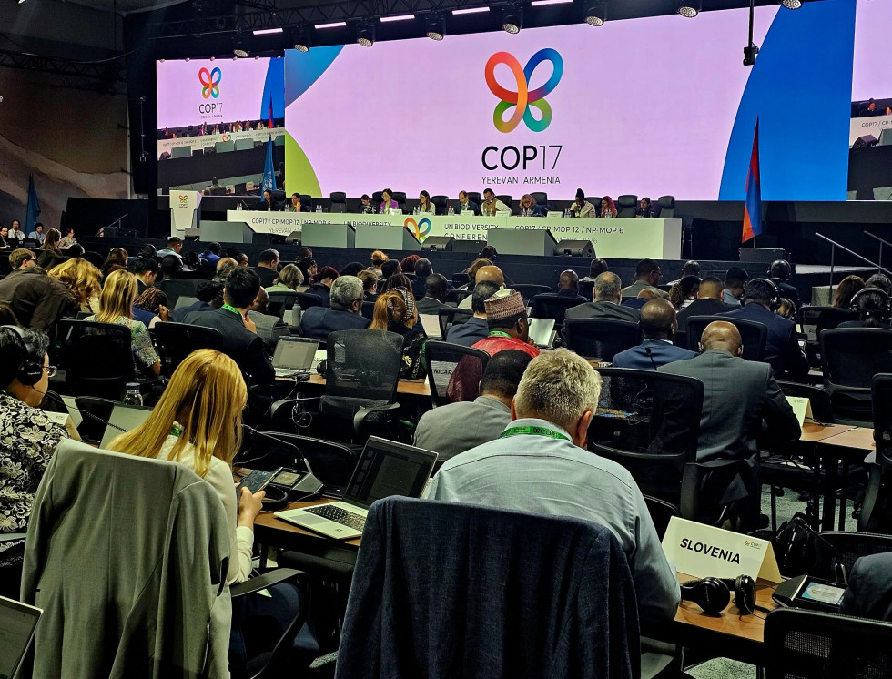 Udeleženci konference so zbrani v dvorani ob začetku zasedanja
