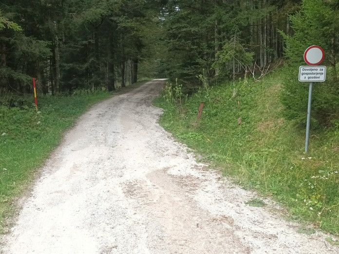 Gozdna cesta, na desni znak za prepoved vožnje