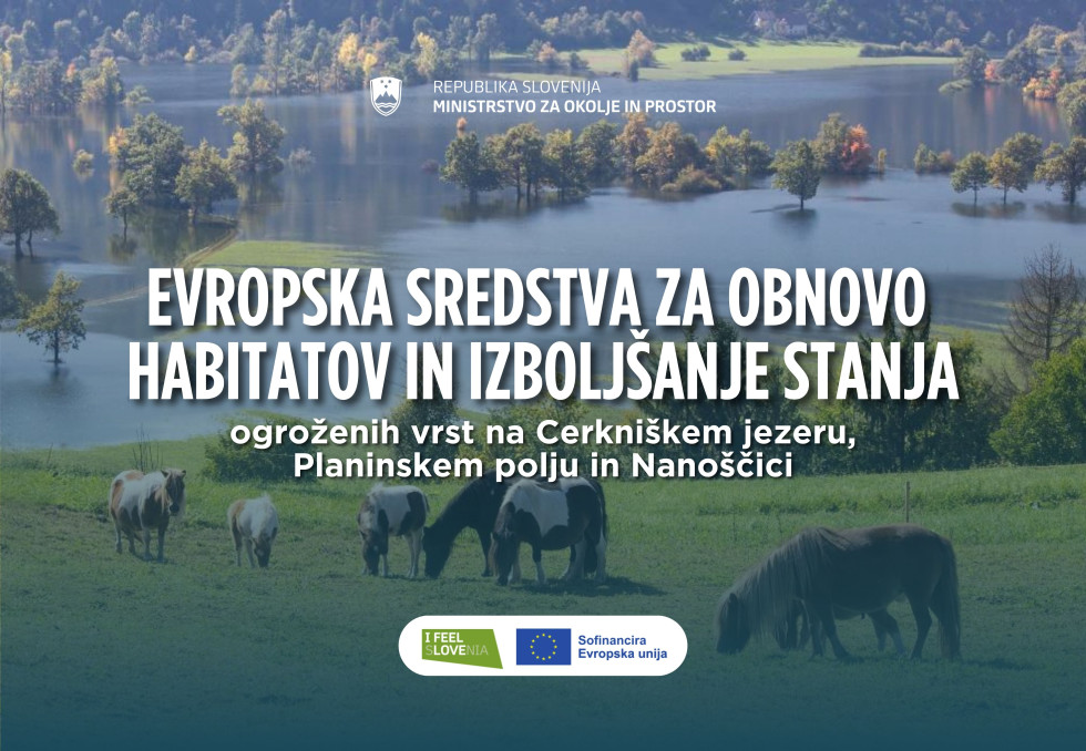 Cerkniško jezero, kjer se pasejo konji na travniku fotografijo prikriva beli napis naslova novice z logotipom ministrstva in EU sredstev 