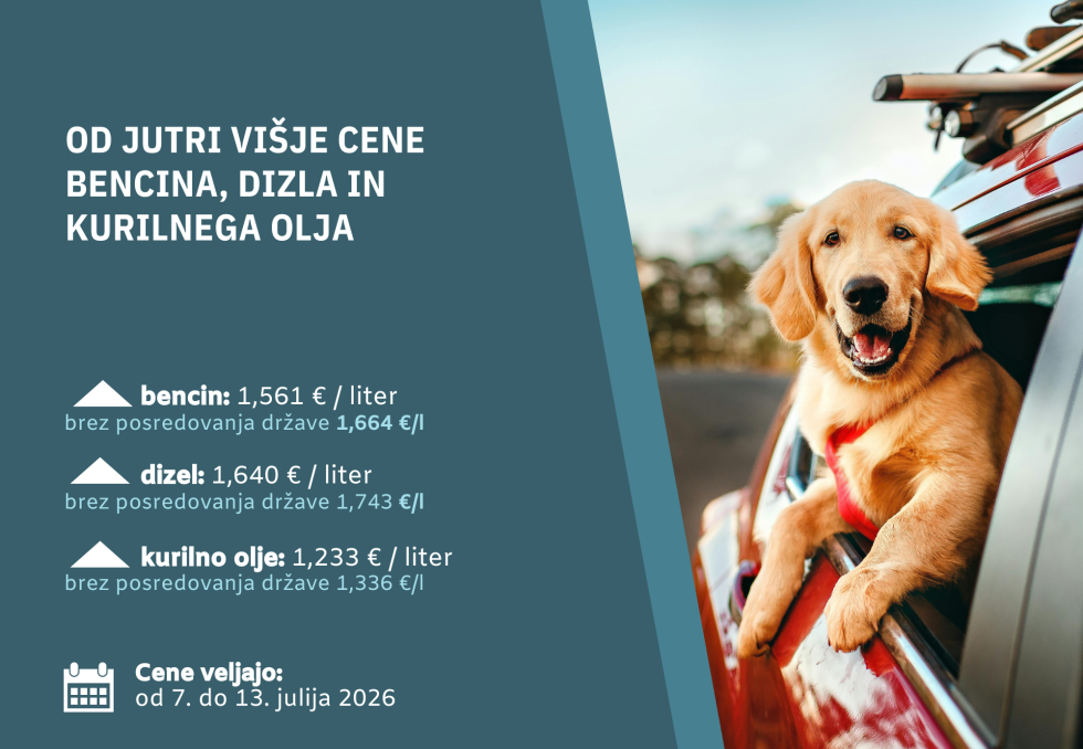 Grafika -  na levi cene naftnih derivatov, na desni fotografija psa, ki gleda skozi okno avta.
