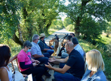 Minister in gostje na vozu, ki se mu reče lojtrnik, s konjsko vprego