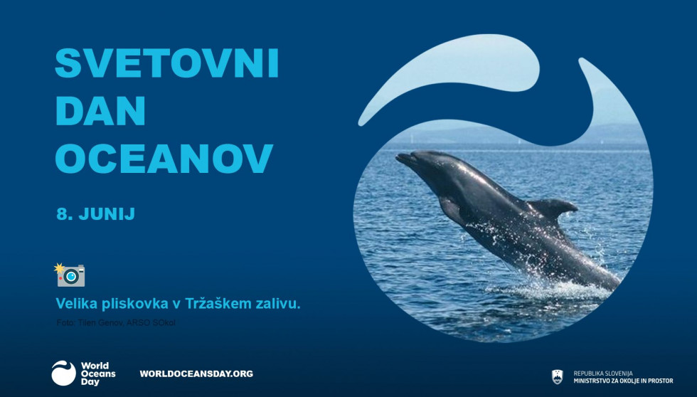 Svetovni dan oceanov logotip z veliko pliskovko v Tržaškem zalivu