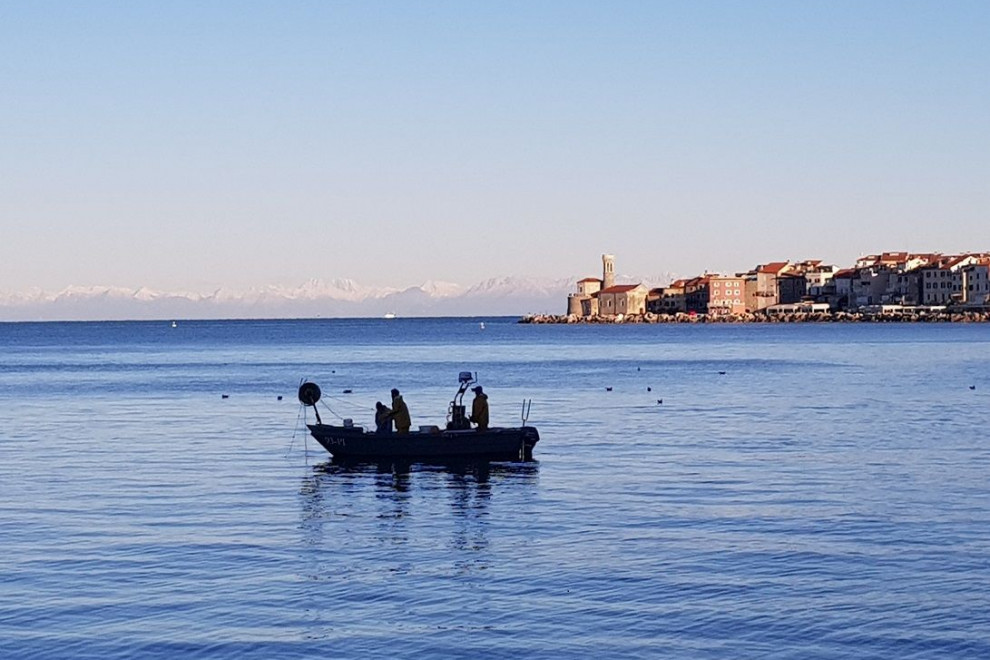Pogled z morja na Piran
