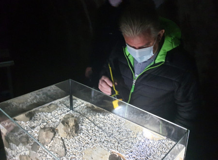 Minister Vizjak pri ogledu človeške ribice v akvariju