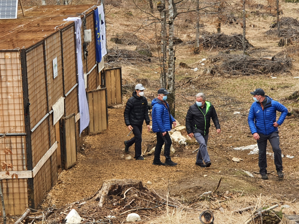 Minister Vizjak ob izpustu risov z namenom ohranitve in razširitve populacije, Pokljuka, 28.4.2021