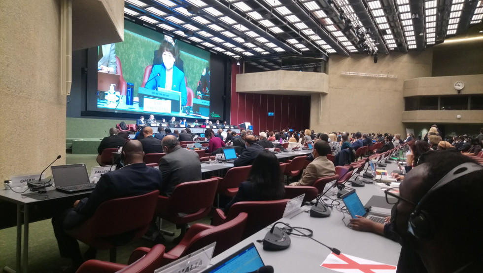 Fotografija dvorane in udeležencev srečanja v Ženevi
