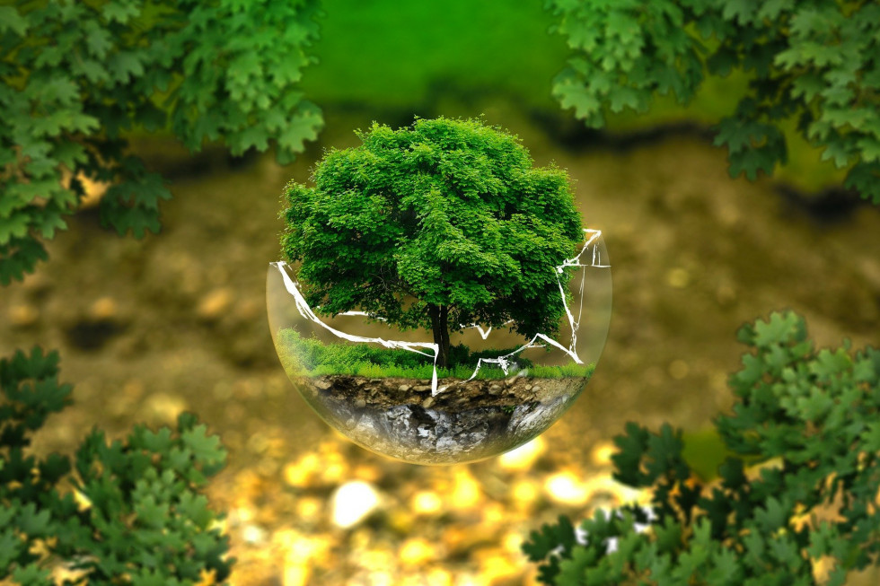 Slika drevesa v stekleni posodi je simbolična 