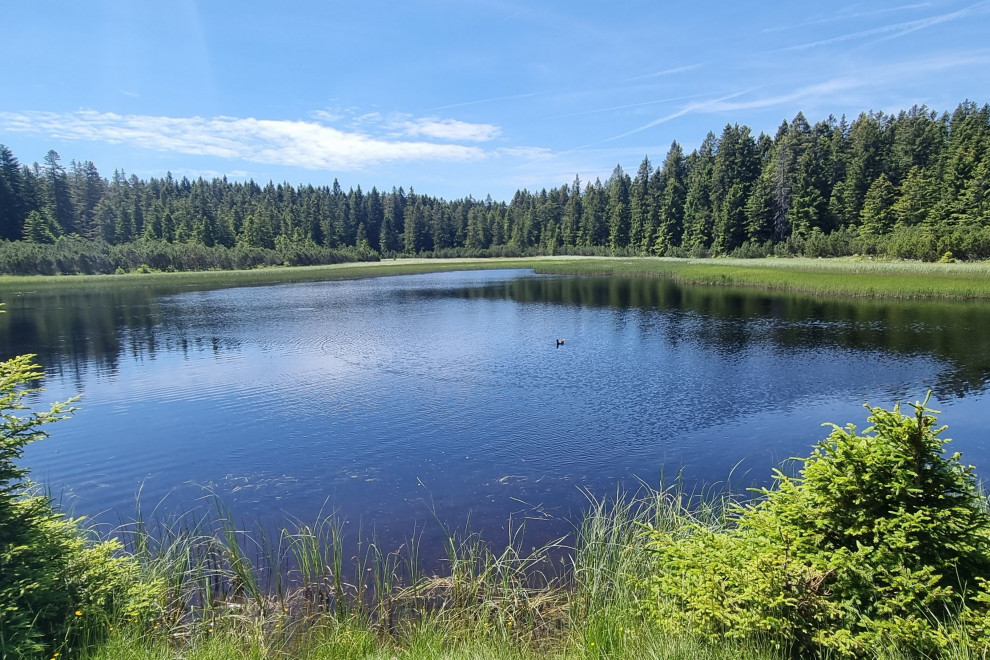 Črno jezero 