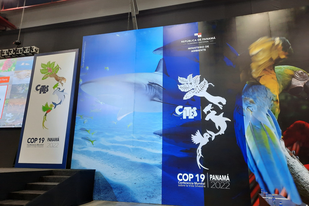 Dvorana zasedanja Konference pogodbenic COP19