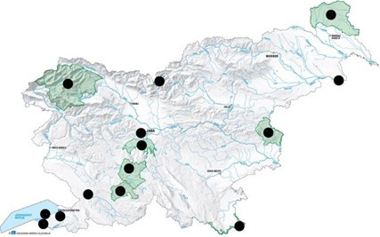 Prikaz naravnih parkov in rezervatov označenih s pikami na zemljevidu Slovenije