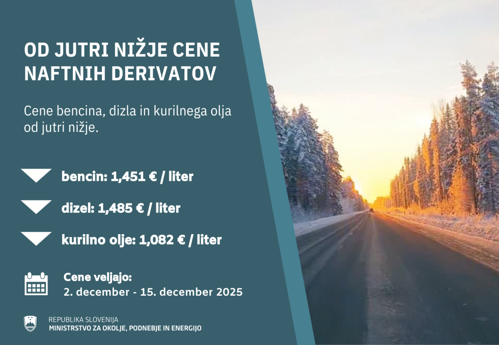 grafika s podatki in fotografijo avtoceste ob zasneženih drevesih