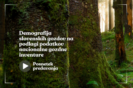 Demografija slovenskih gozdov na podlagi podatkov nacionalne gozdne inventure