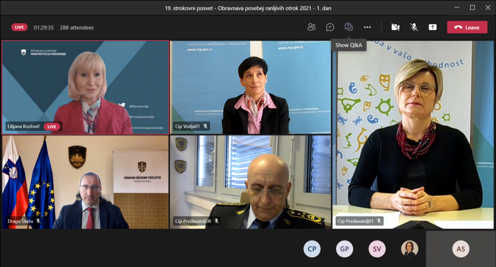 Ministrica Lilijana Kozlovič, audio-video konferenca, posvet