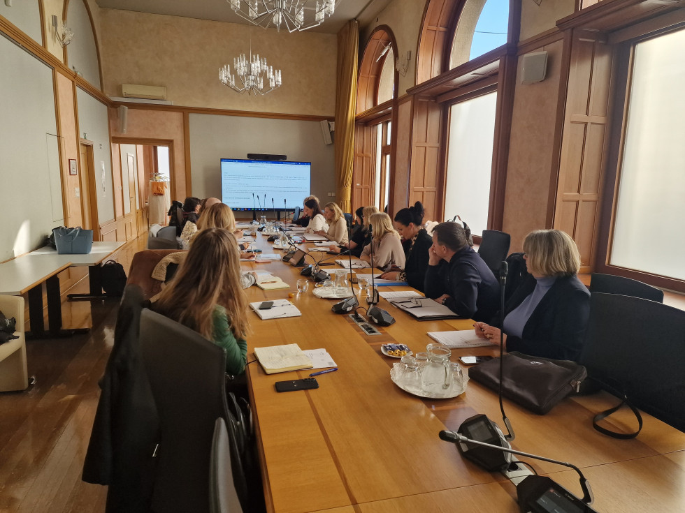 Udeleženci na prvem sestanku delovne skupine za implementacijo Zakona o kazenski obravnavi mladoletnikov sedijo za dolgo mizo v sejni sobi Ministrstva za pravosodje in razpravljajo ob predstavitvi na zaslonu.