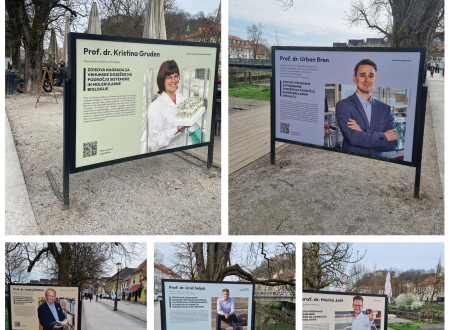 Kolaž izbranih panovjev ob Ljubljanici na Krakovskem nasipu v Ljubljani.