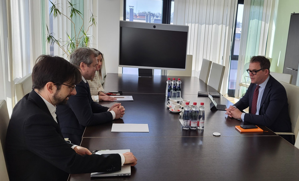 Meeting of the Minister, Dr Igor Papič, and the Director for Democratic Participation of the Council of Europe, Matjaž Gruden