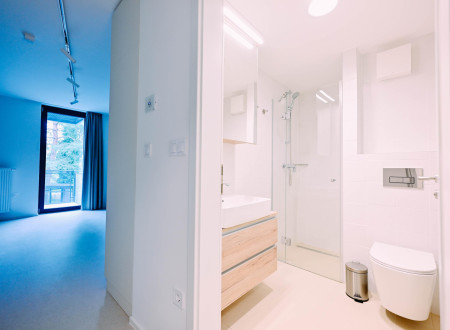 Svetla sodobna kopalnica s prho, umivalnikom in straniščem, poleg nje pa vhod v bivalni prostor z velikim oknom.