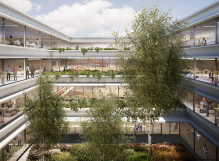 Notranje dvorišče fakultete z obodnimi steklenimi fasadami, zelenimi zasaditvami in drevesi v sredini.