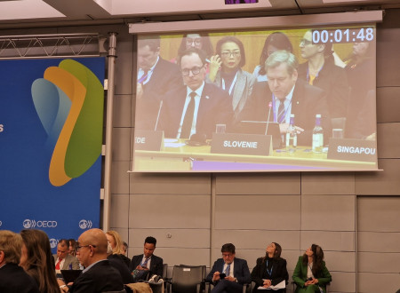 Dr. Papič na velikem zaslonu med razpravo na Odboru za znanstvene in tehnološke politike OECD.